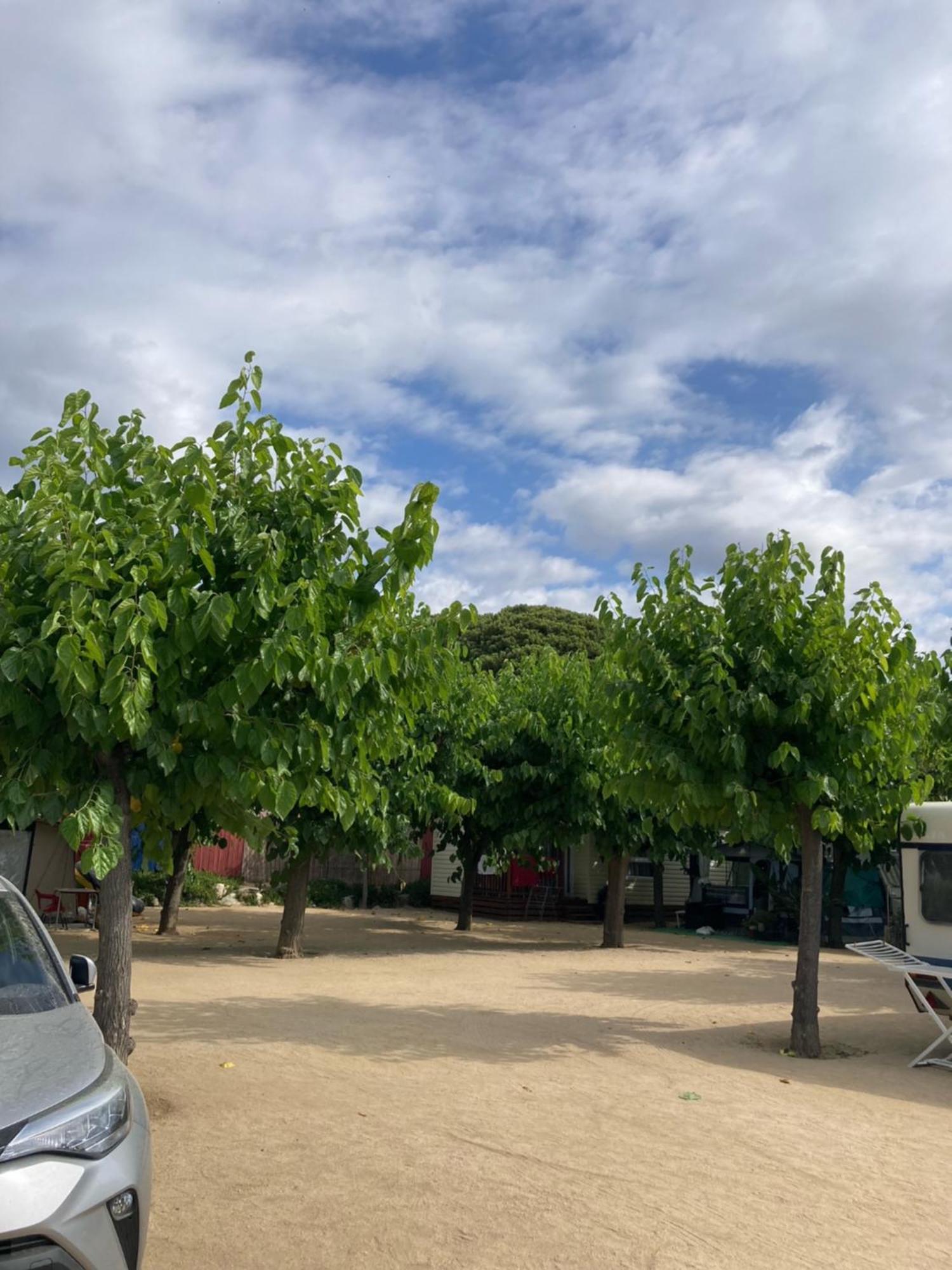 Camping El Pinar Platja Санта-Сусанна Екстер'єр фото